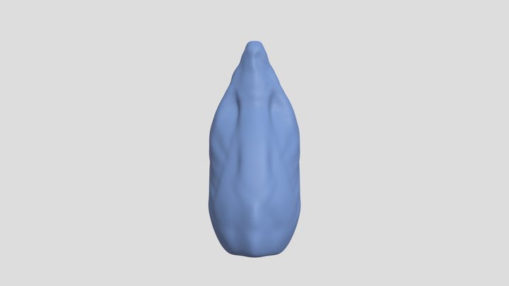 Anatra 3D Model