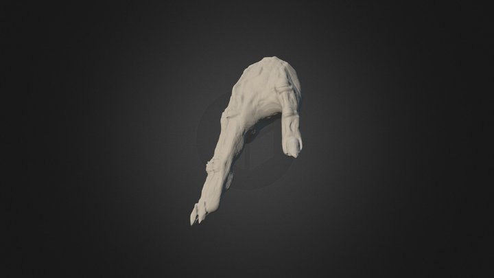 Monster Of Hand 3D Model