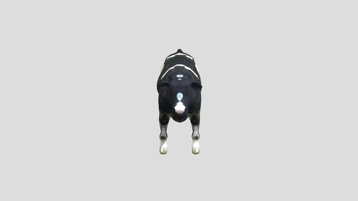 Uploads Files 3316344 Ko 3D Model