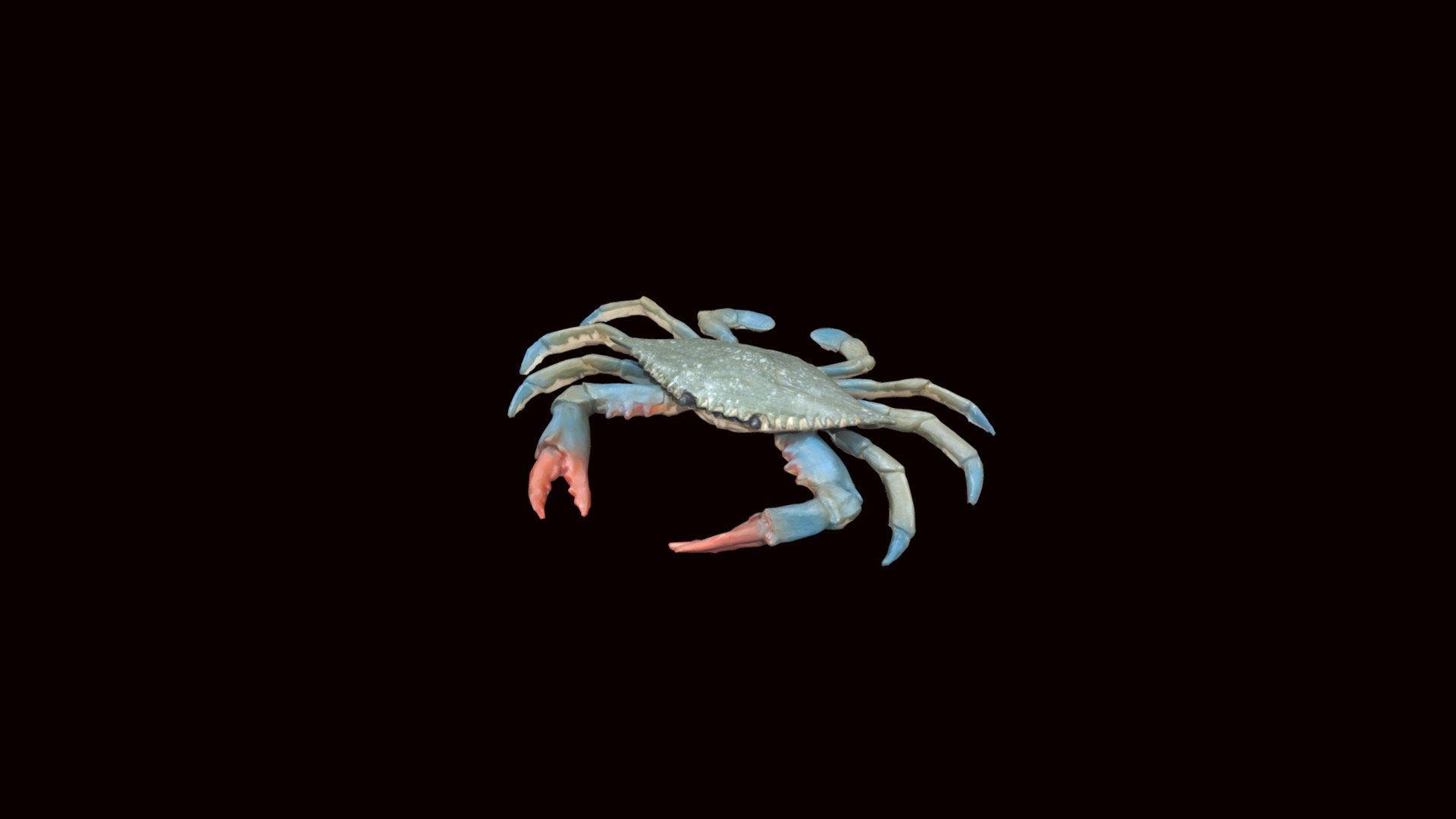 Blue Crap Low Poly