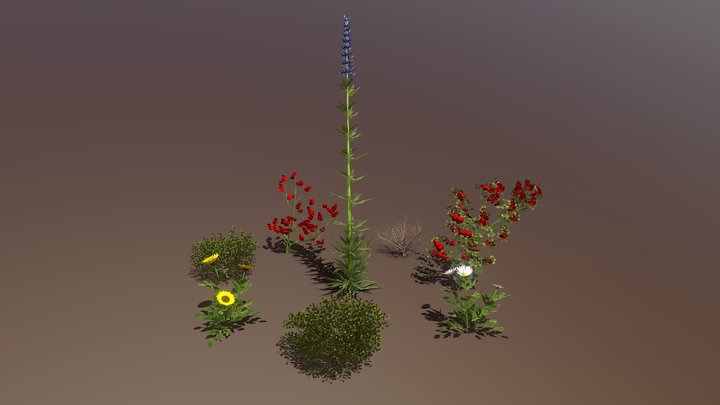 Vegetation 3D Model