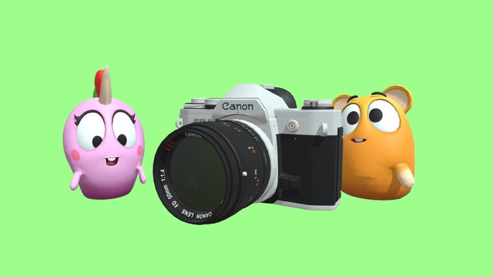 Smile for the Camera 3D Model