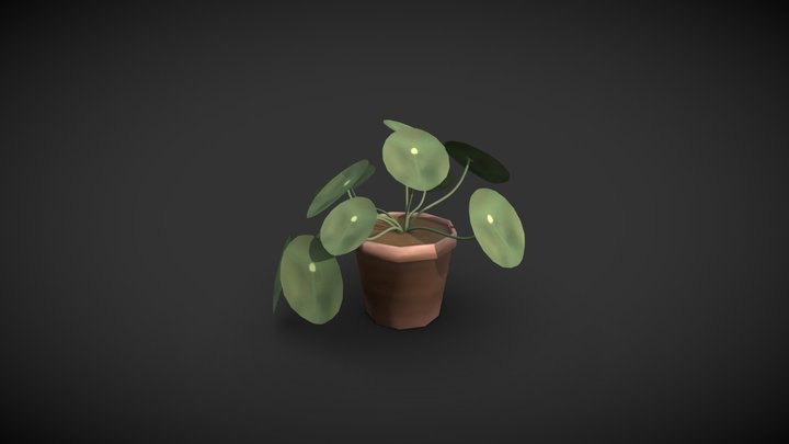 Chinese Money Plant 3D Model