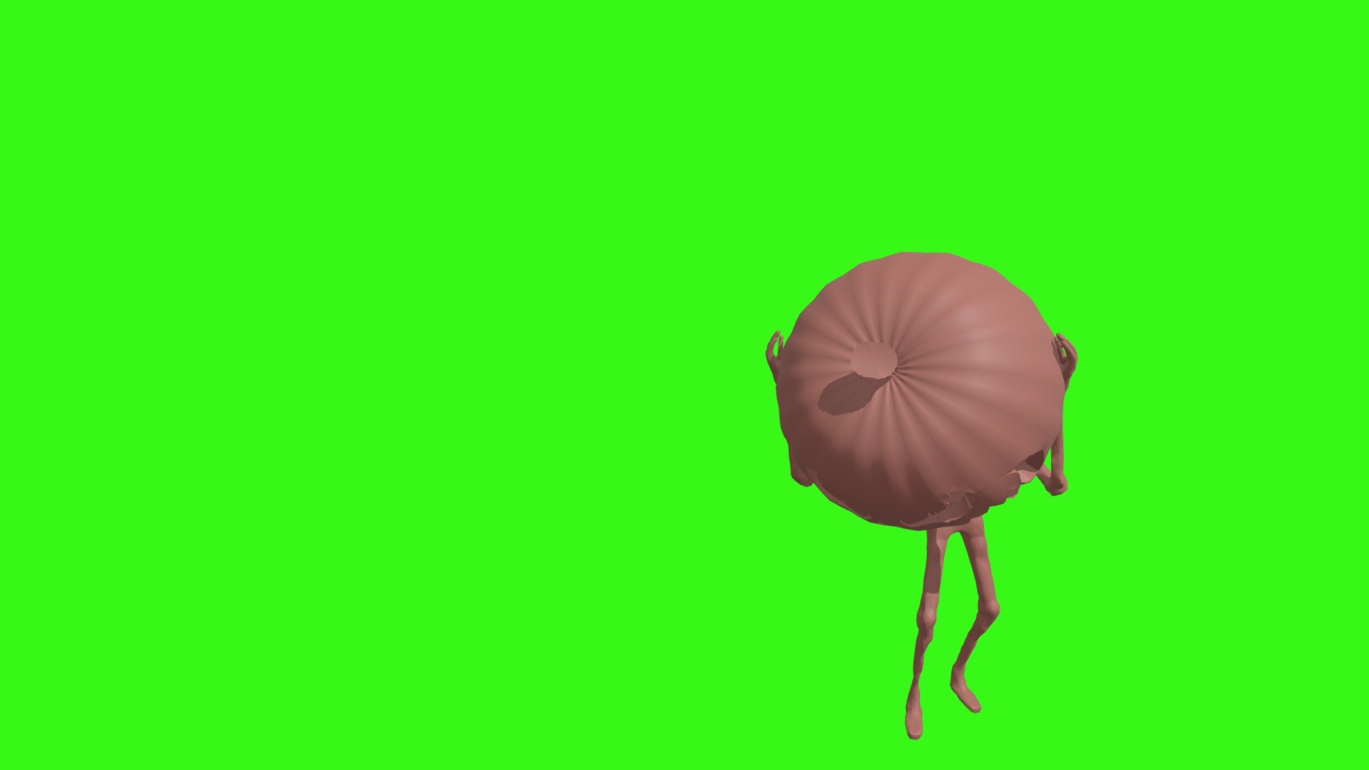 Focus (1)