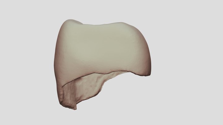 3d tooth crown 3D Model