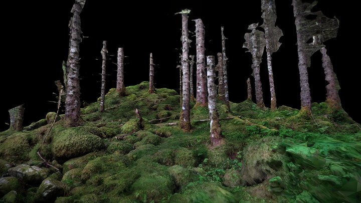 Sulavegen, Misty foreast – Free 3D Model STL