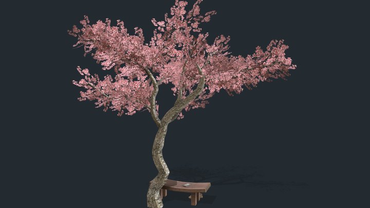 Sakura tree 3D Model