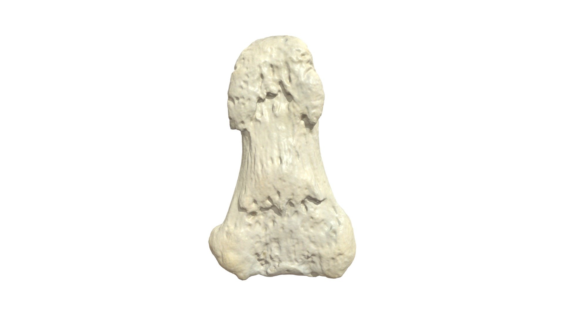 Phalanx Distalis I R - 3D model by Universiteit Antwerpen ...