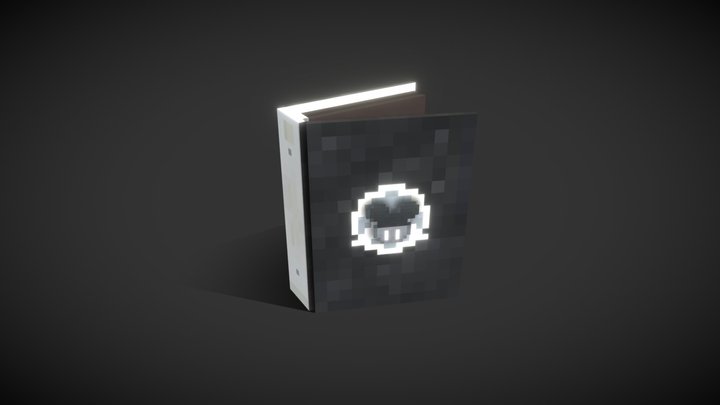 Chaser Book 3D Model