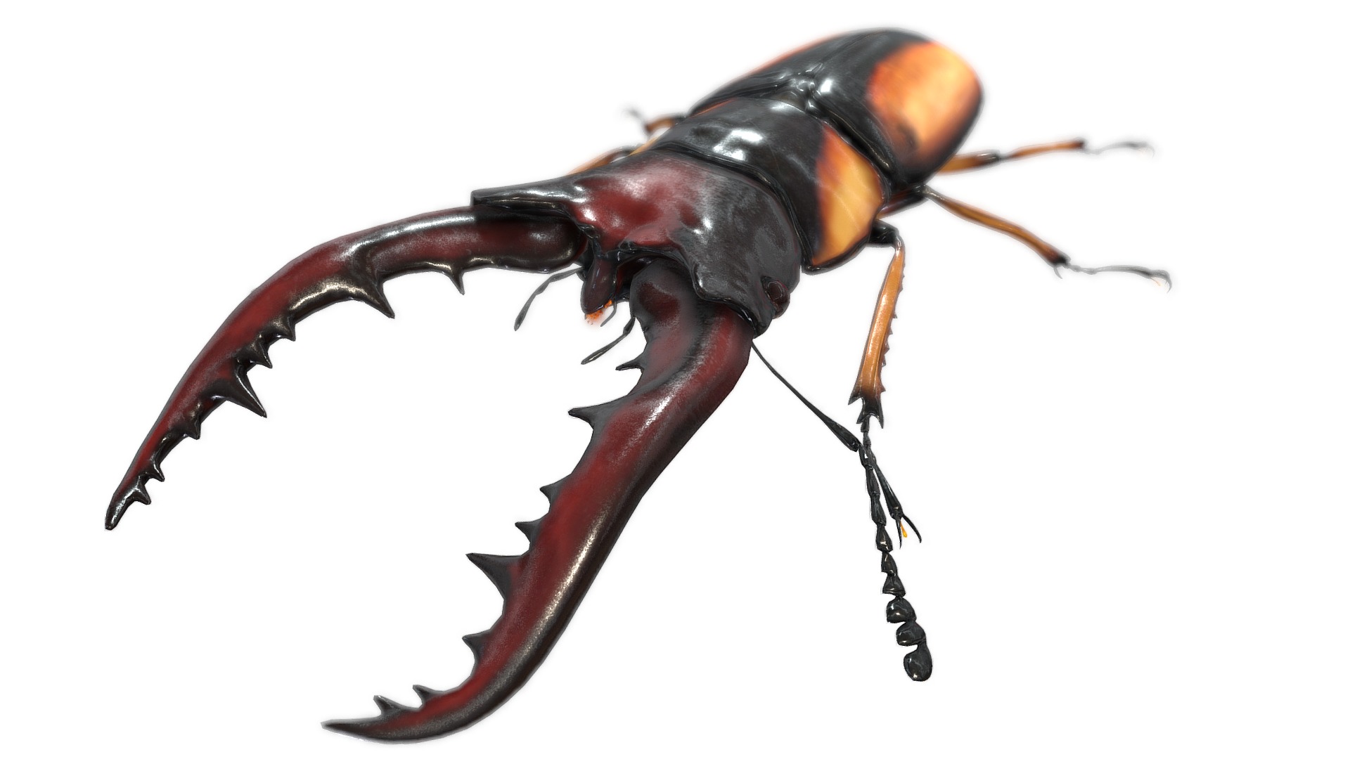 3D model Prosopocoilus savagei - This is a 3D model of the Prosopocoilus savagei. The 3D model is about a close up of a bug.