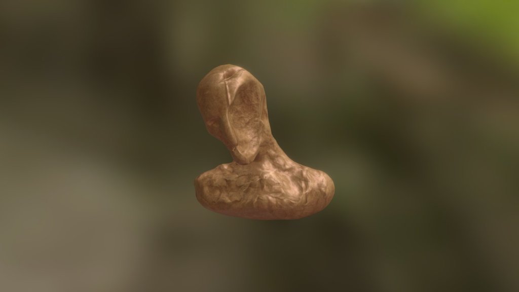 The Stone head