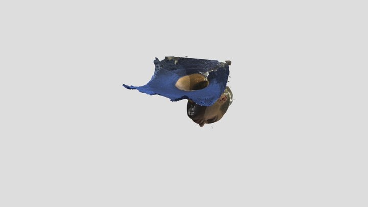 Дималицо 3D Model