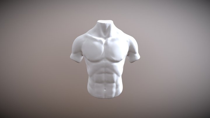 Body: Chest 3D Model
