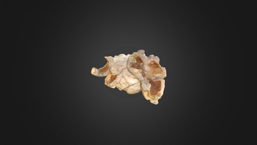 Popcorn Flake
