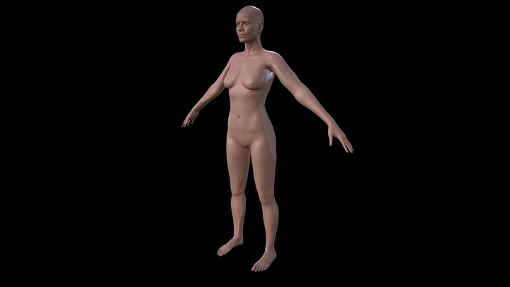 Nicols 3D Model