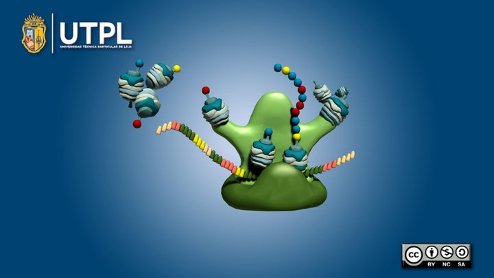 Ribosoma – Modello 3D gratuito STL