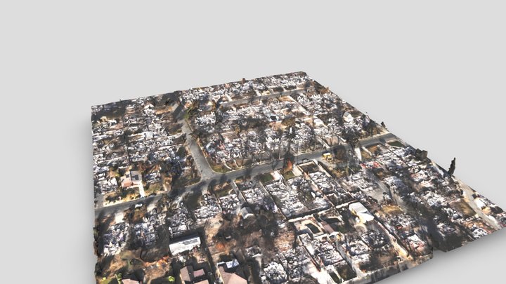 NW Altadena after the Eaton Canyon Fire 3D Model
