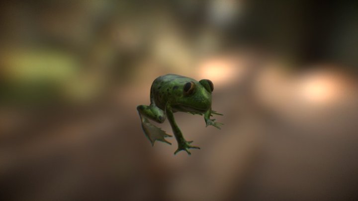 Froggy from Pepe The Frog 3D Model