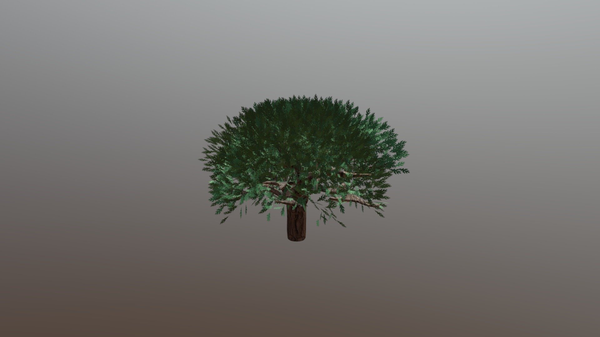 Tree Spring - 3D model by Abbie John (@abbiegameart) [c58a030] - Sketchfab