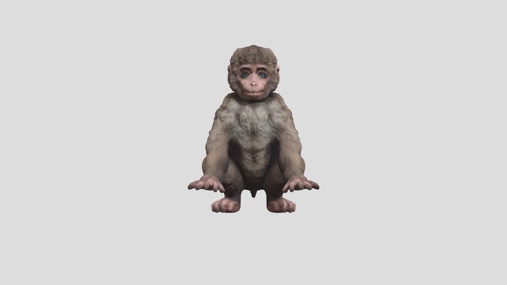 MonkeyGod01010 3D Model