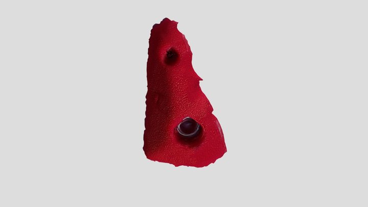 Il mio impressionante modello 3D da fotografie 3D Model