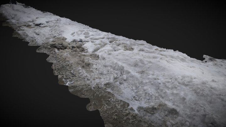Snowed on sidewalk (typ 3) 3D Model