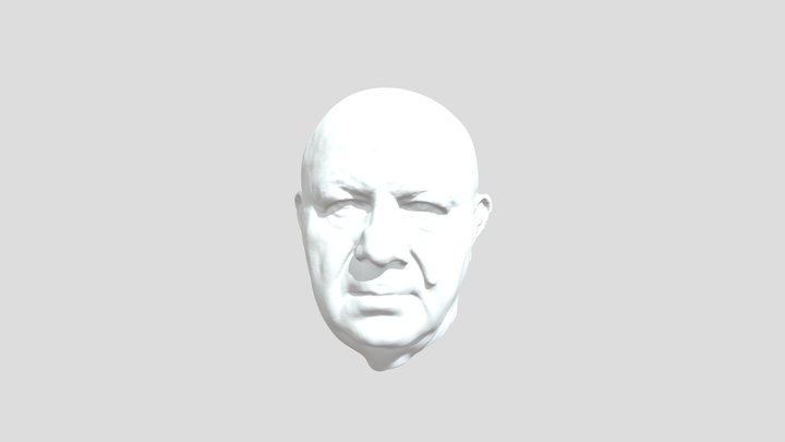 3D scanned Human Head 3D Model