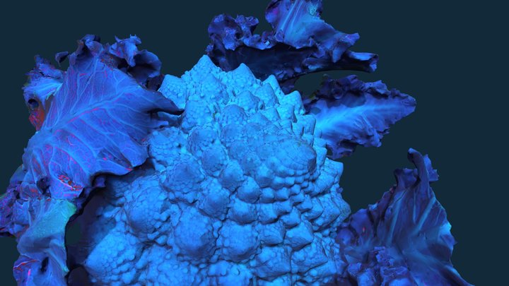 Romanesco from Space 3D Model
