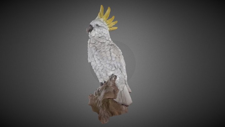 Parrot 3D Scanned by Revopoint INSPIRE 2 – Free 3D Model STL