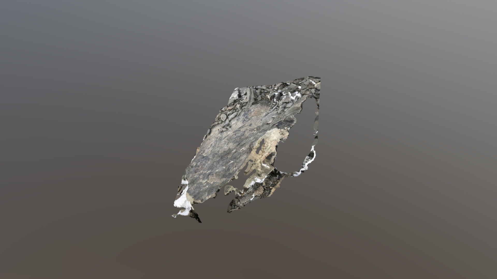 Nordenkioldtoppen Fossil