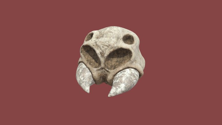 Spider Skull Concept 3D Model