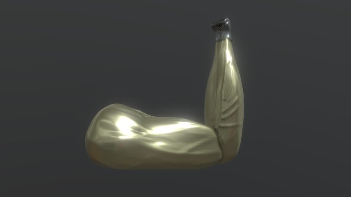 Arm