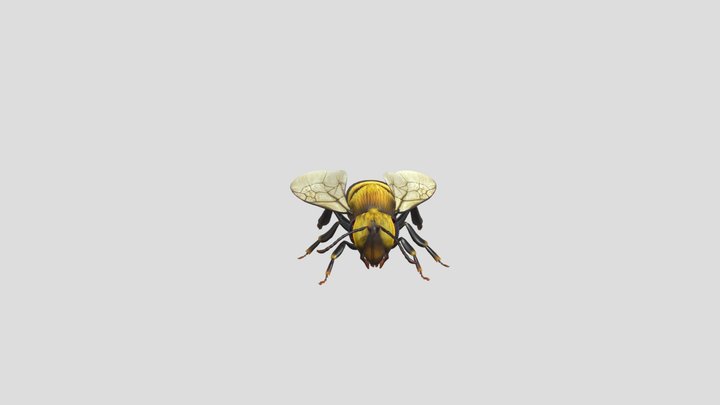 Bee animated 3D Model