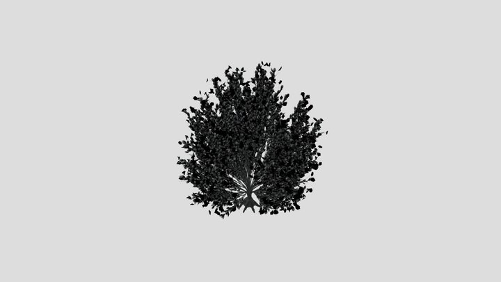 Tree Whiterock – Gratis 3D-model STL