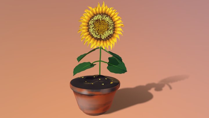 Sunflower Pot 3D Model