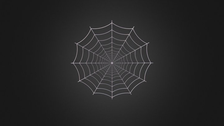 Spider Web 3D Model