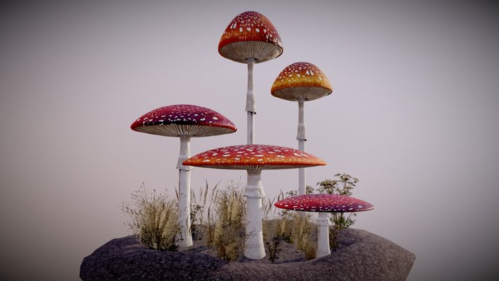 Amanita Muscaria 3D Model
