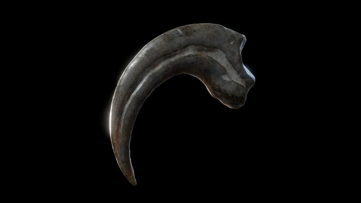 Velociraptor dinosaur claw – Modello 3D gratuito STL