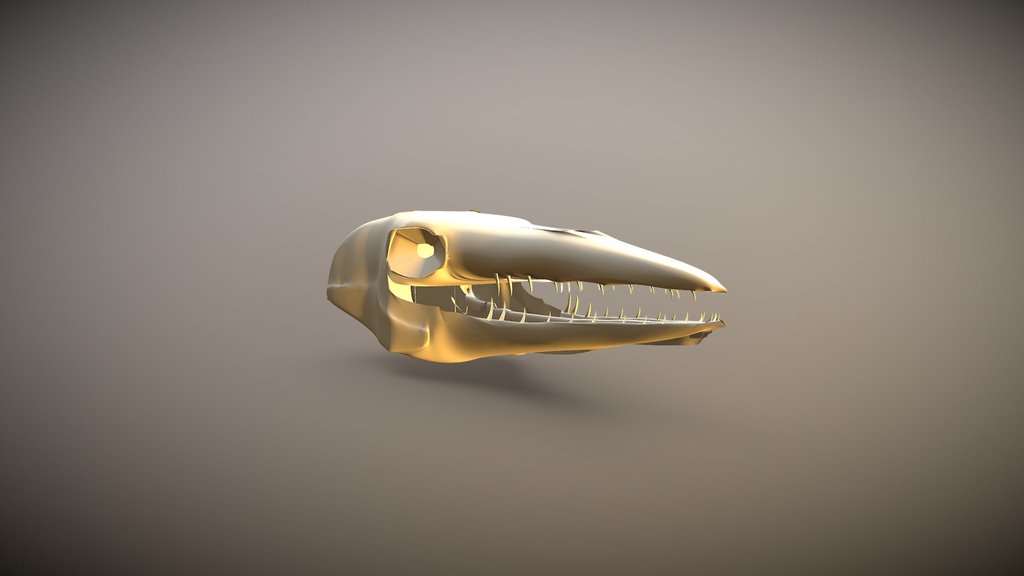 Dino Head