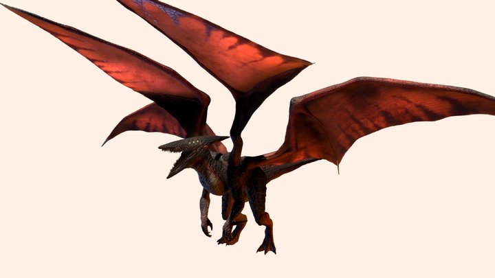 Kight 3D Model