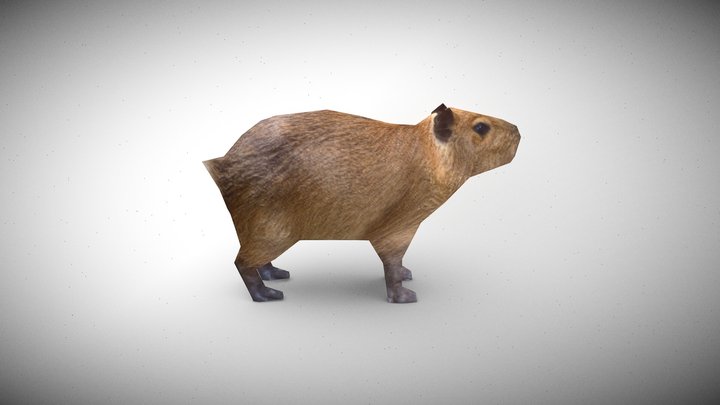 Capybara PS1 style 3D Model