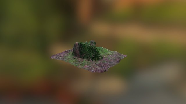 Tree Stump 2 3D Model