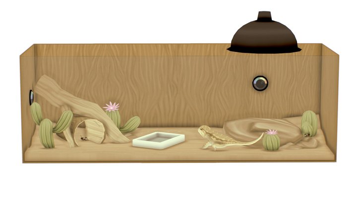 Bearded Dragon vivarium 3D Model