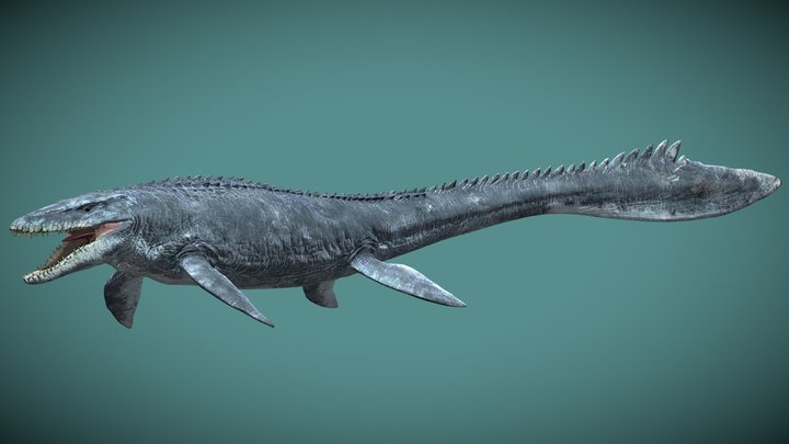 Jurassic World Mosasaurus 3D Model