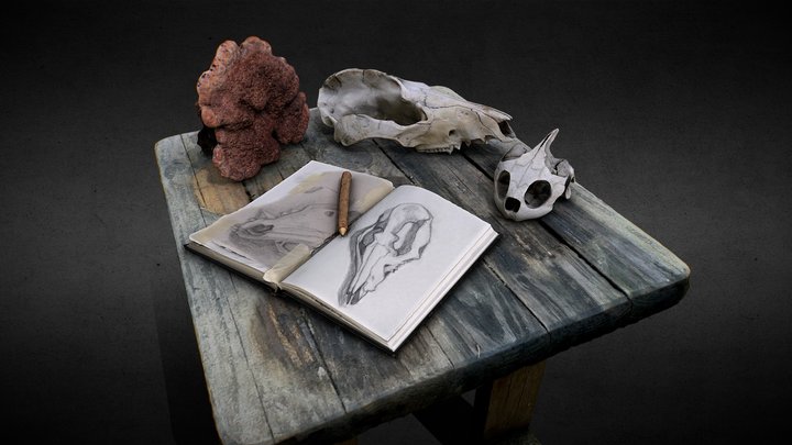 North Carolina Nature Still Life 3D Model