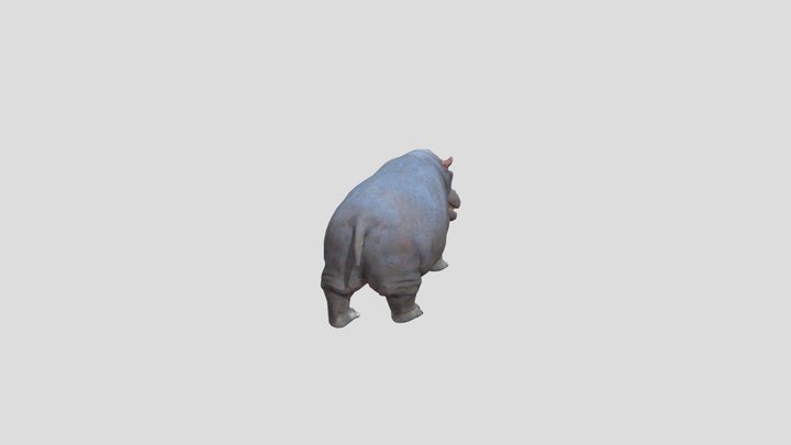 Hippopotamus