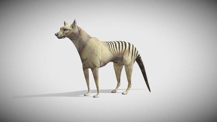 wolf – Free 3D Model STL