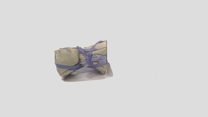Polycam capture 3D Model