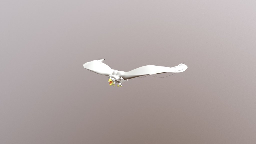 Bird Of Prey