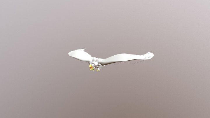 Bird Of Prey 3D Model